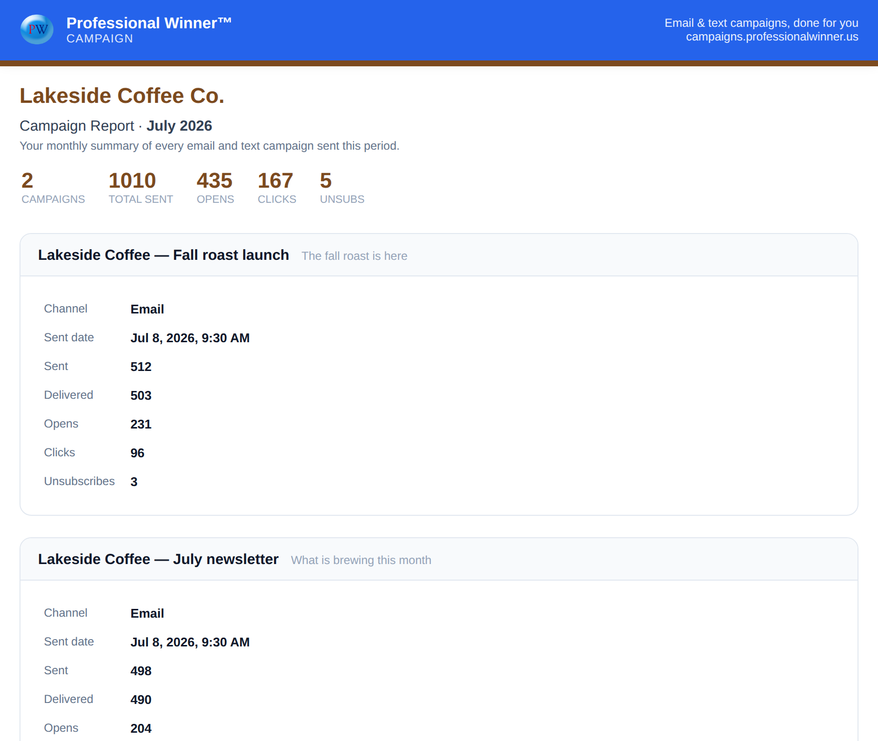 Your campaign report and dashboard